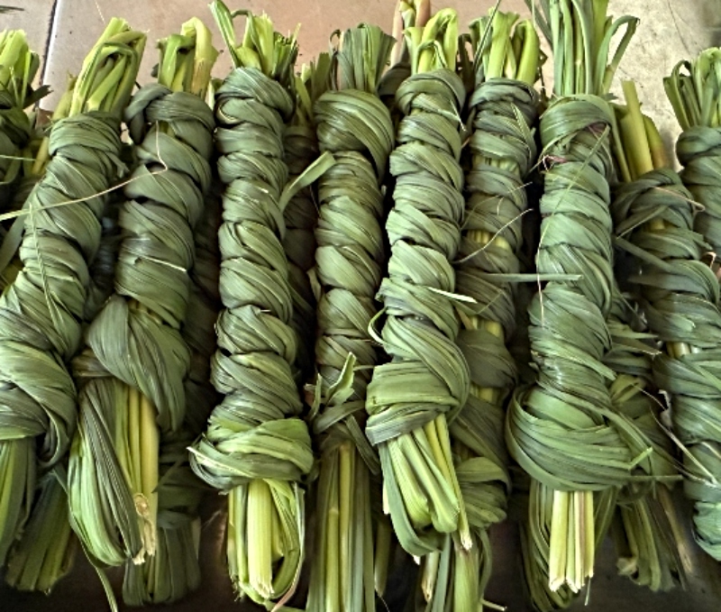 hivegarden-journal-lemongrass-3 (1).jpg