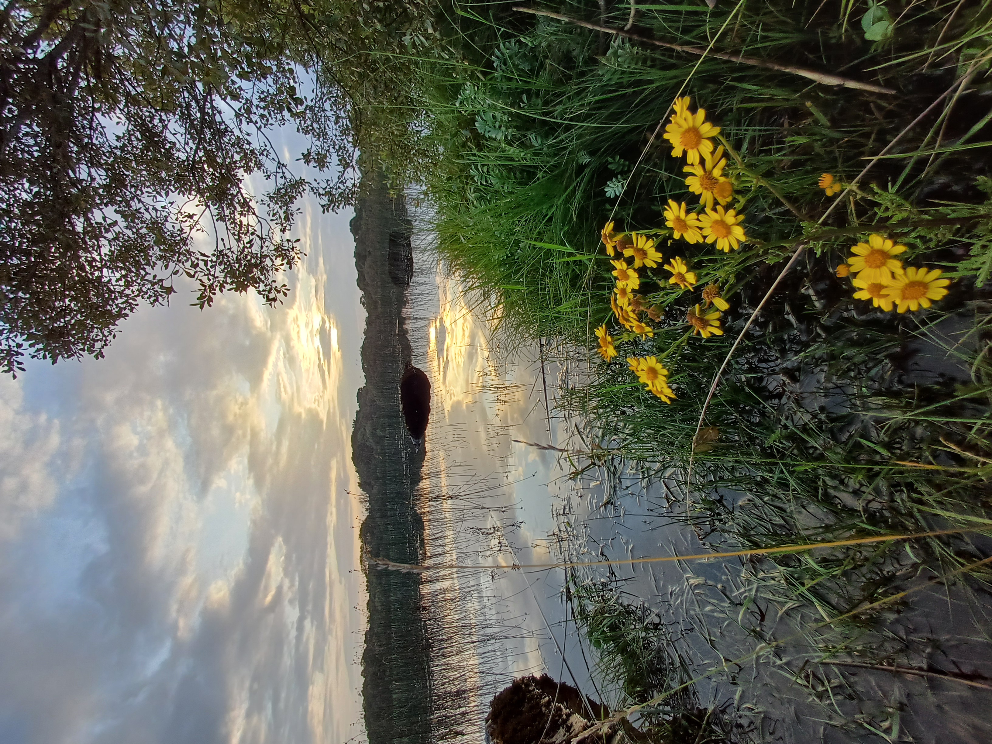 20250722_205857.jpg