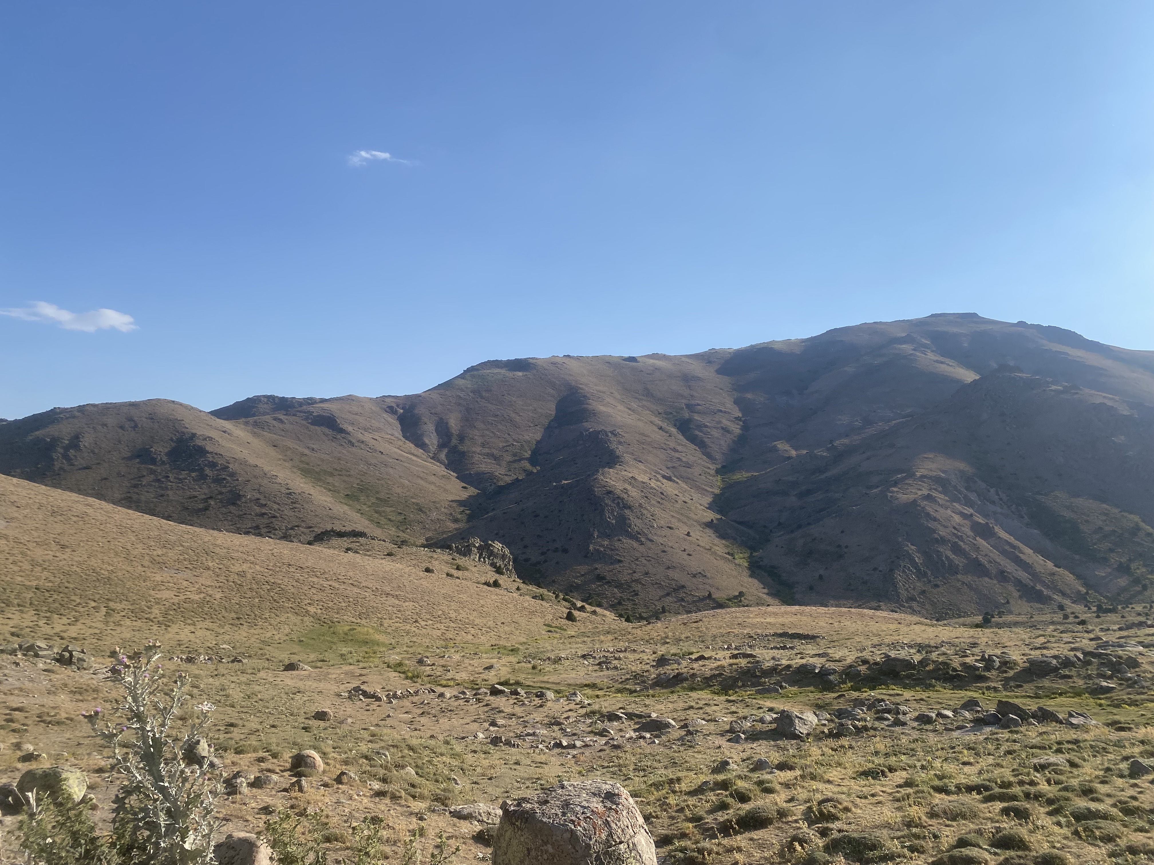 IMG_5846.jpeg