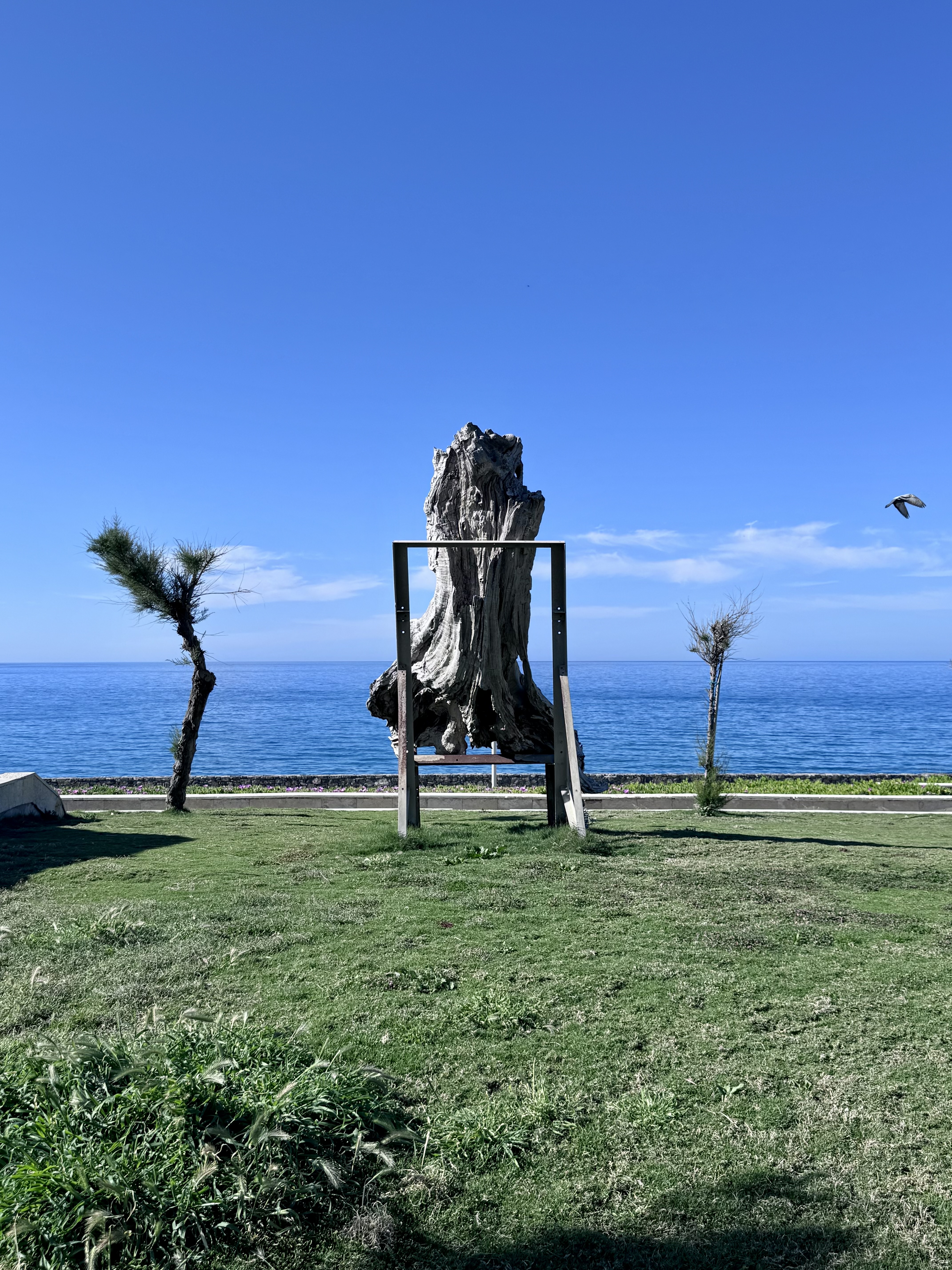 IMG_6431.jpeg
