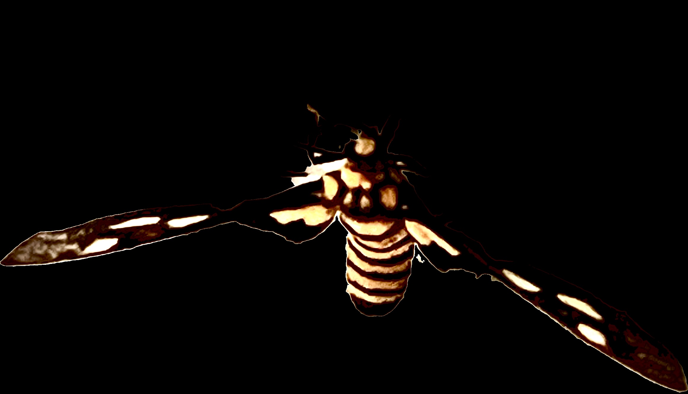 A4887217-A35A-4238-BF1C-EFF4A0923121.jpeg