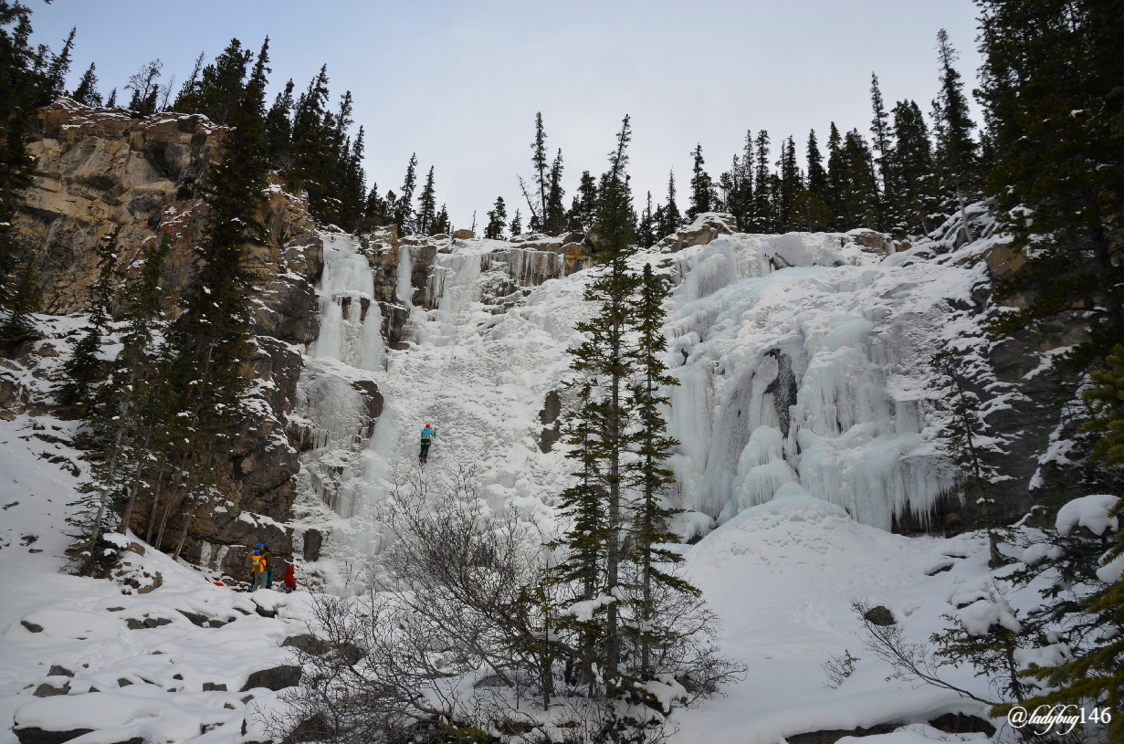 tangle creek falls (2).jpg