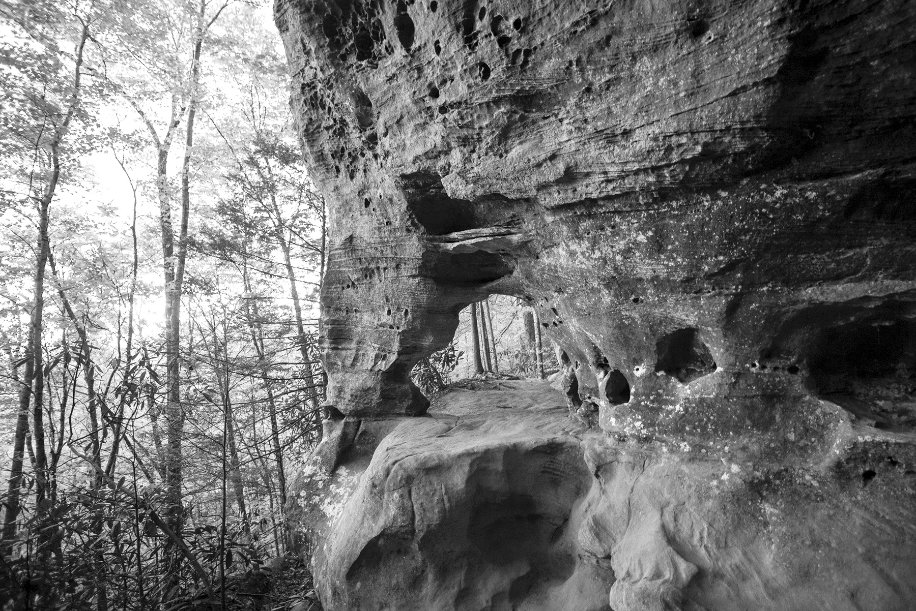 gorge return 5 copy.jpg