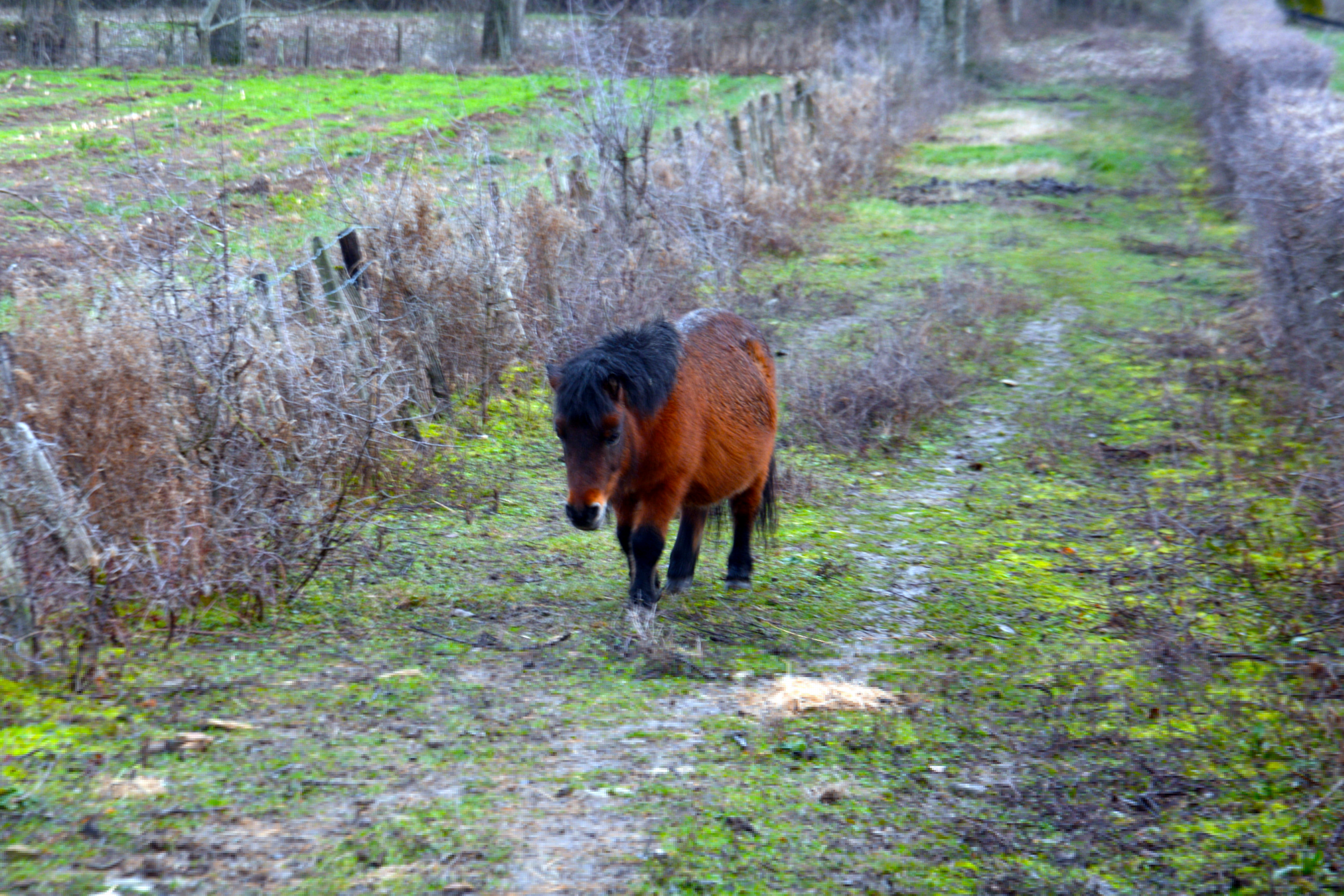 DSC_6853.JPG