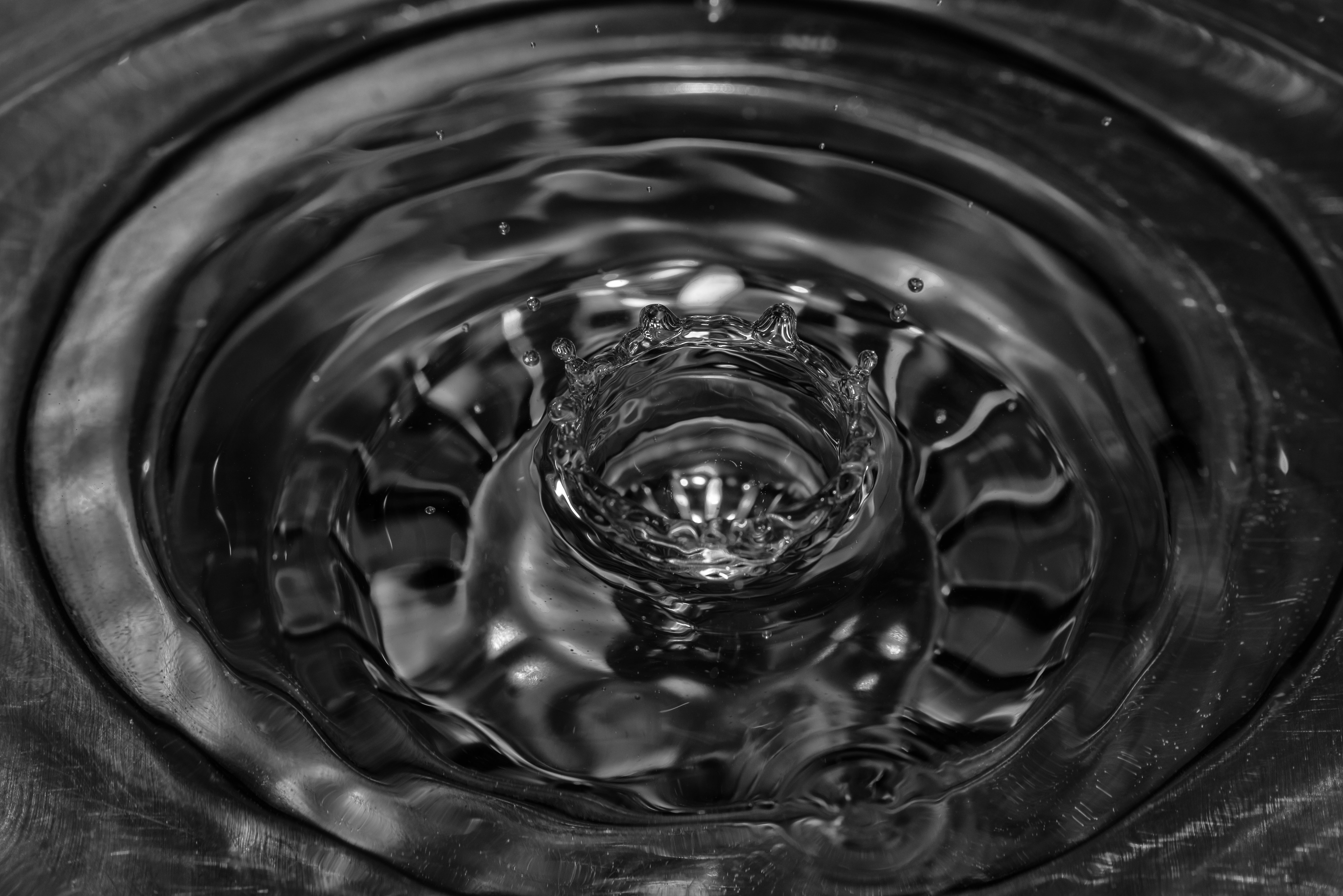 DSC_2001-Edit.jpg