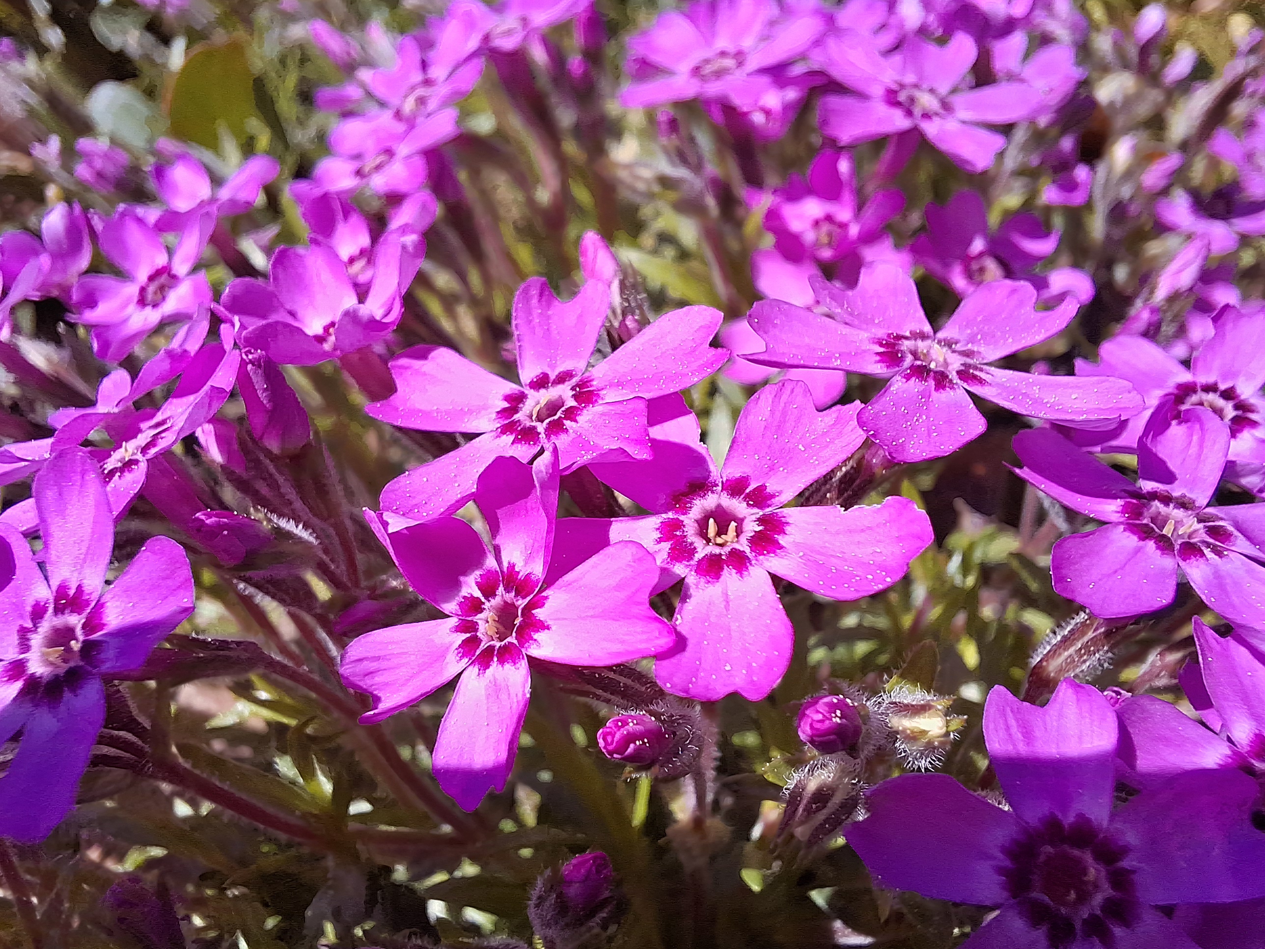 20240513_125802.jpg