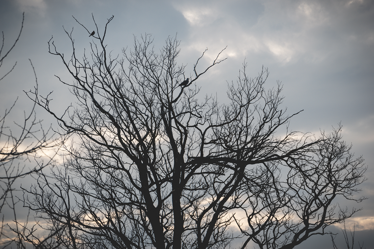  " "DSC_0326 copy.jpg""