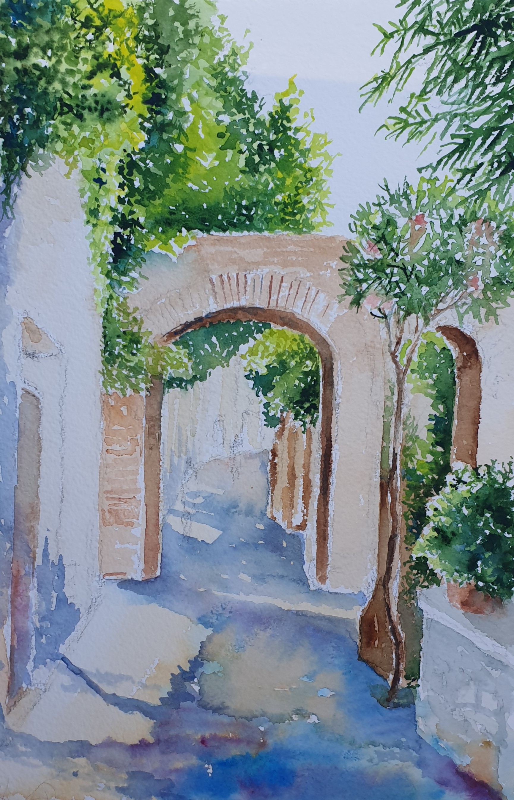 capri3,5.jpg