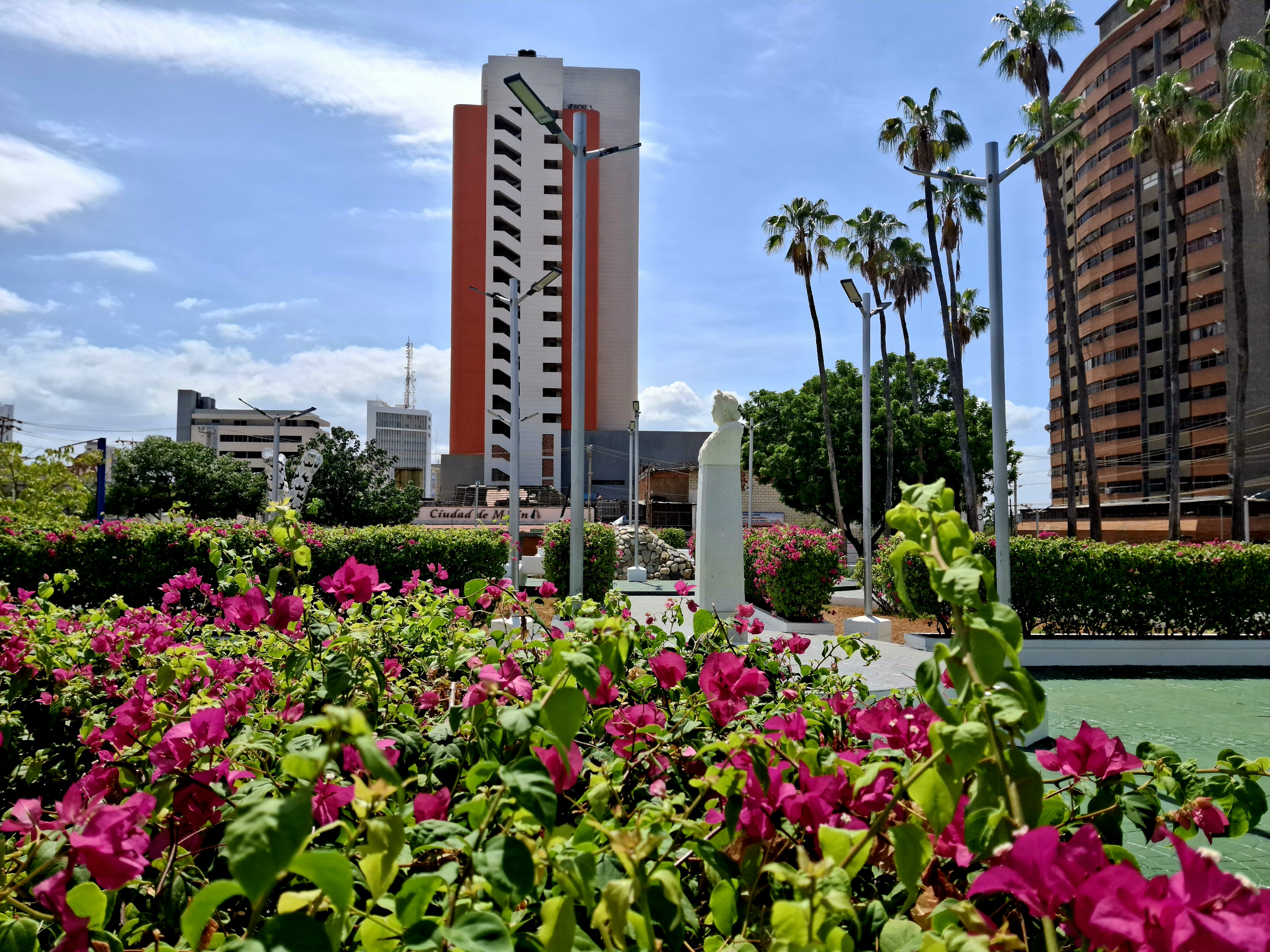 20250726_105956.jpg