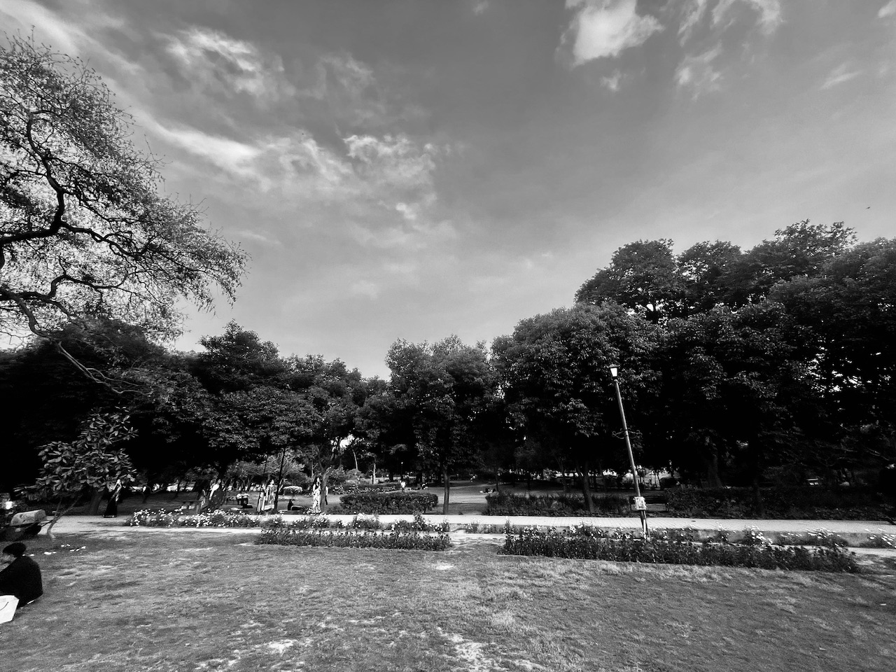 IMG_8119.jpeg