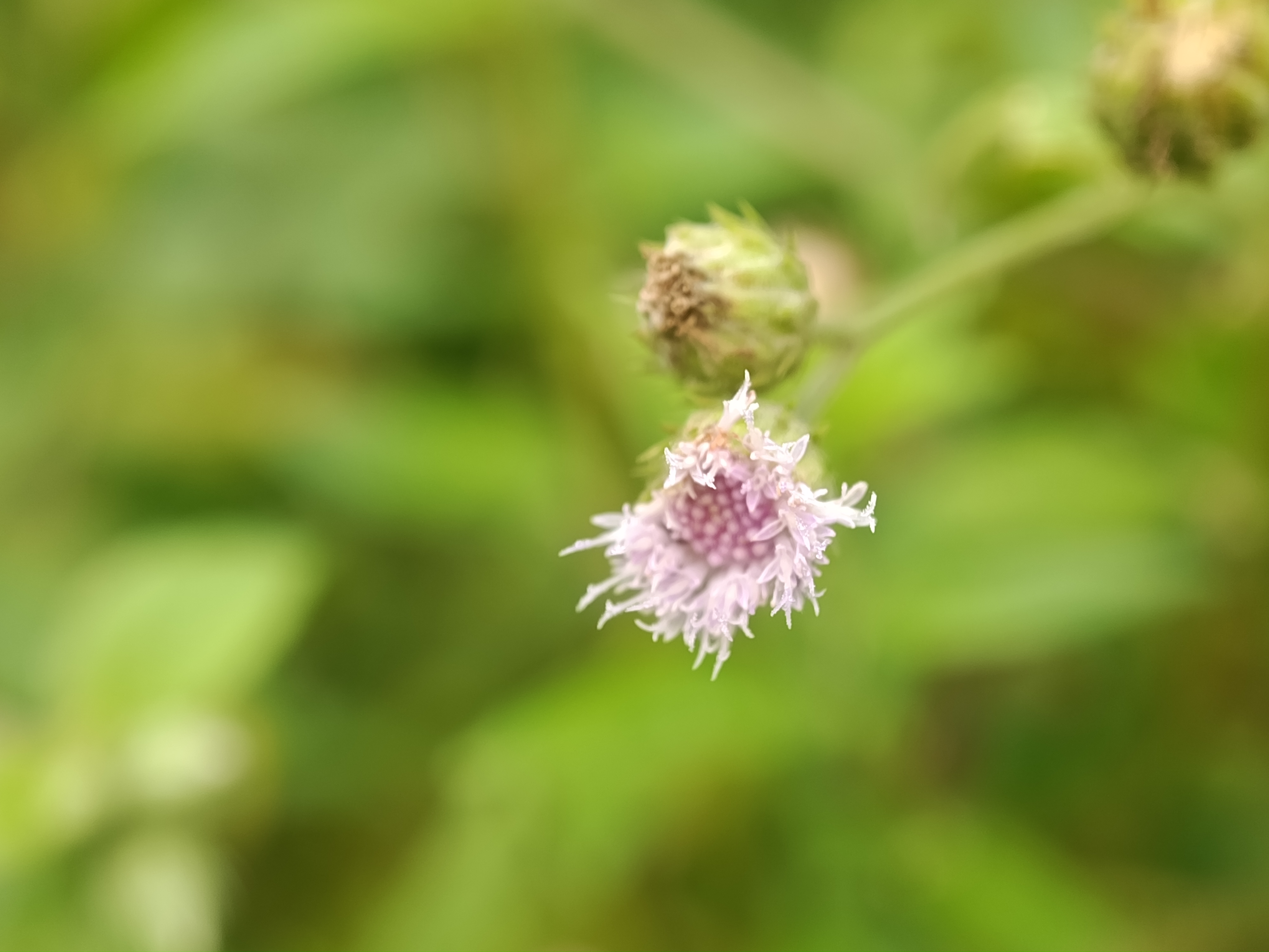 IMG_20250623_152844.jpg