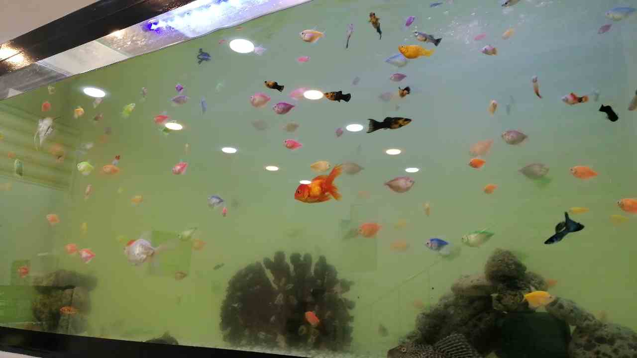 IMG_20250601_212230.jpg