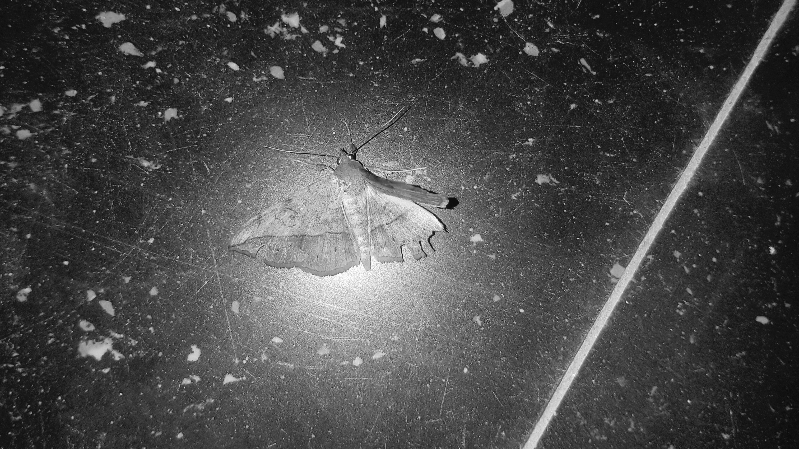 20211124_141726.jpg