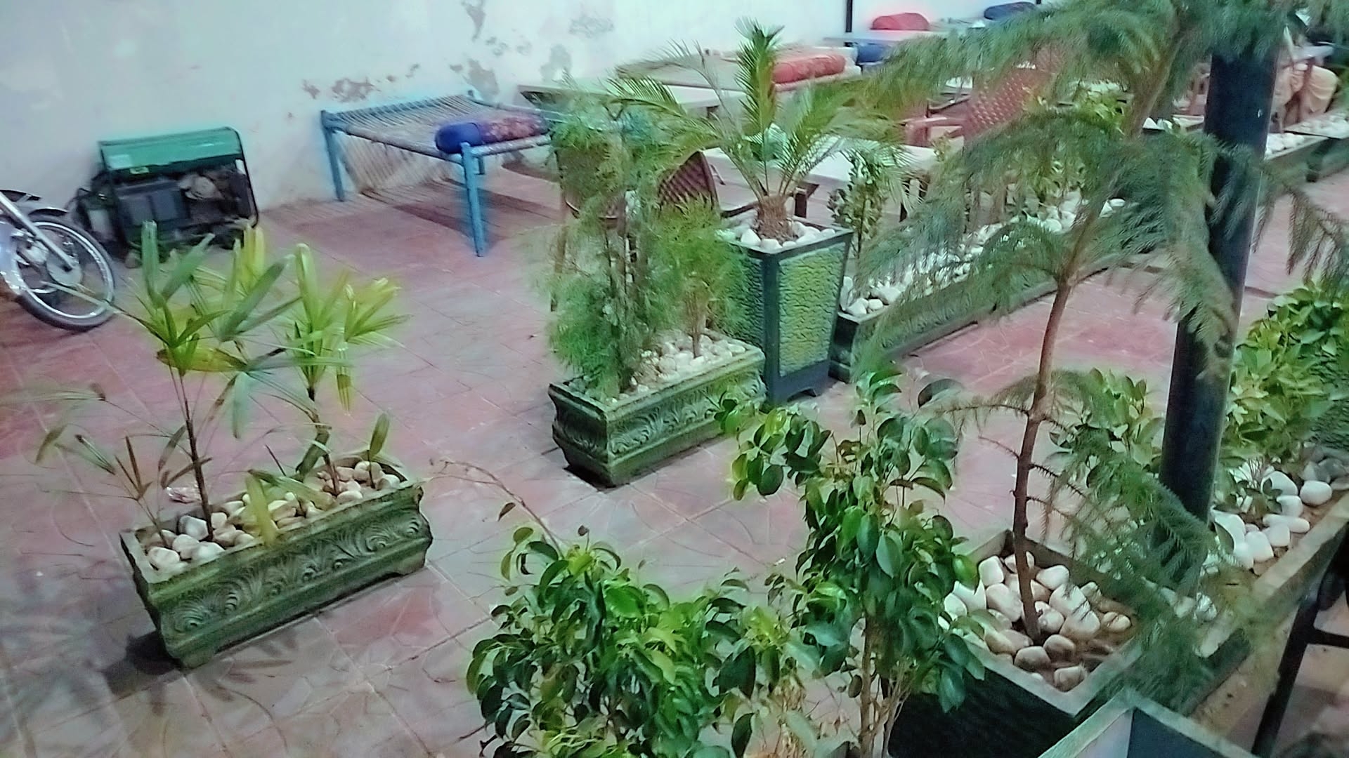 IMG_20250720_054623.jpg