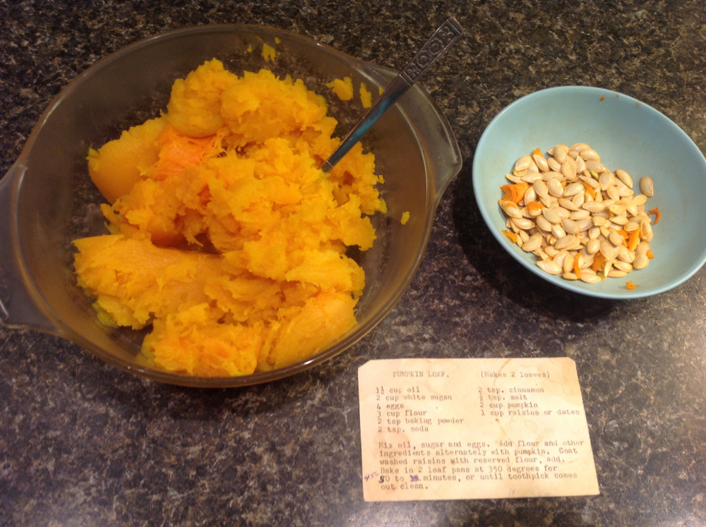 pumpkin and seeds.JPG