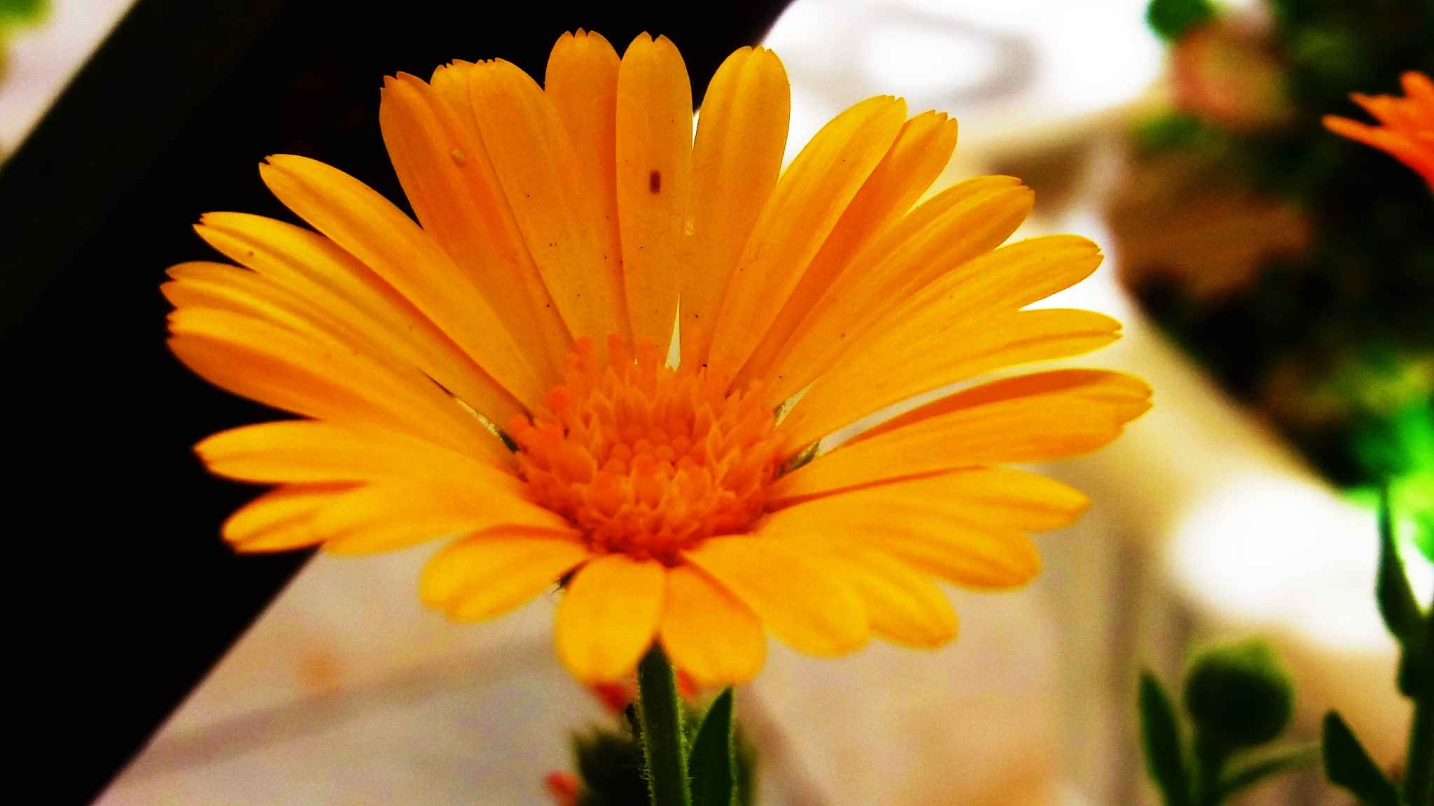 CYMERA_20200519_102008.jpg