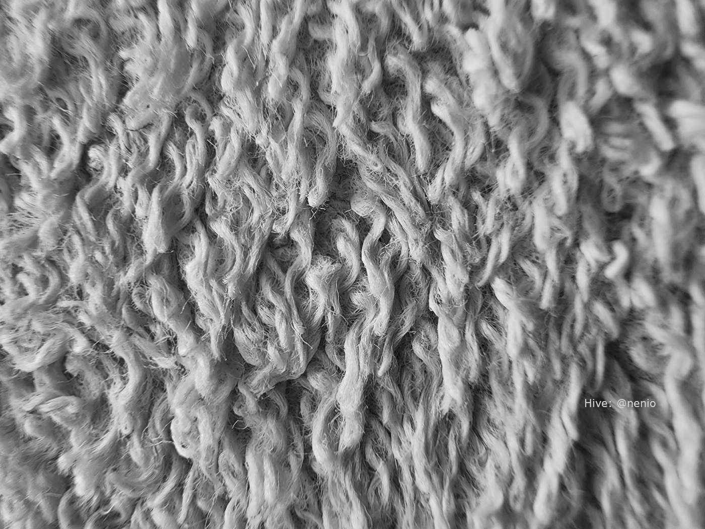 towel-001-bw.jpg