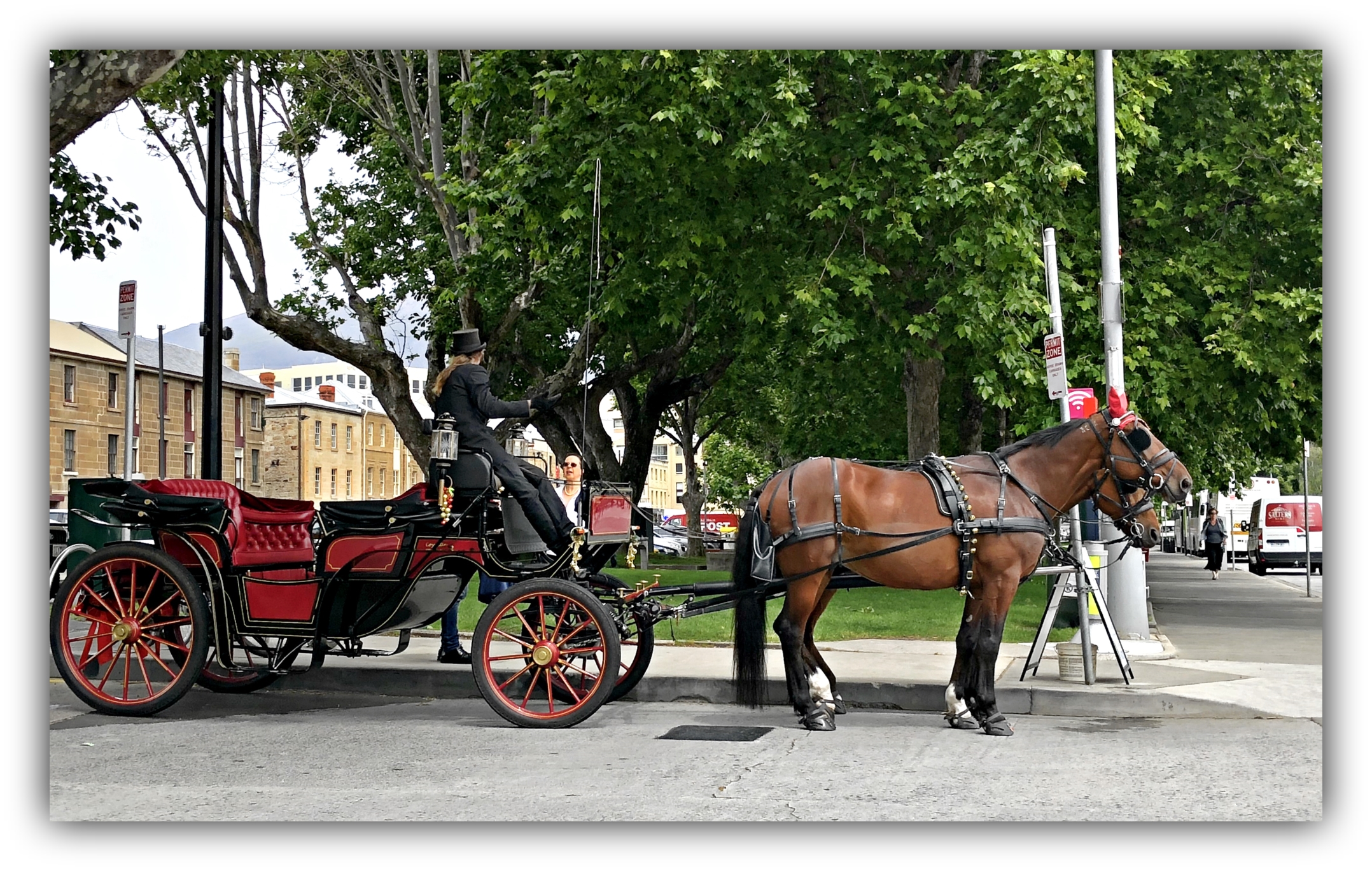 F HORSE and carriage.jpg