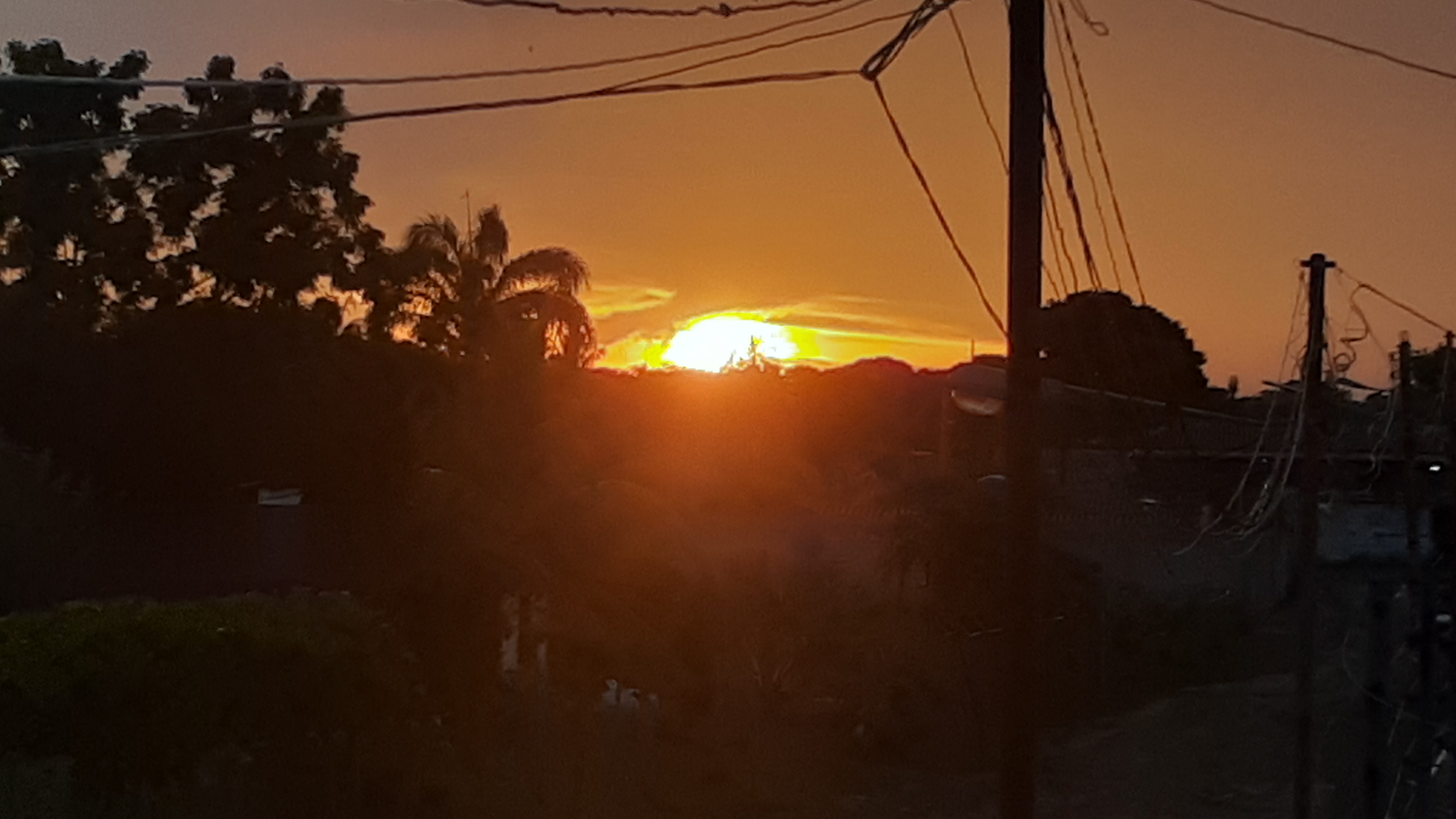 20221017_175923.jpg