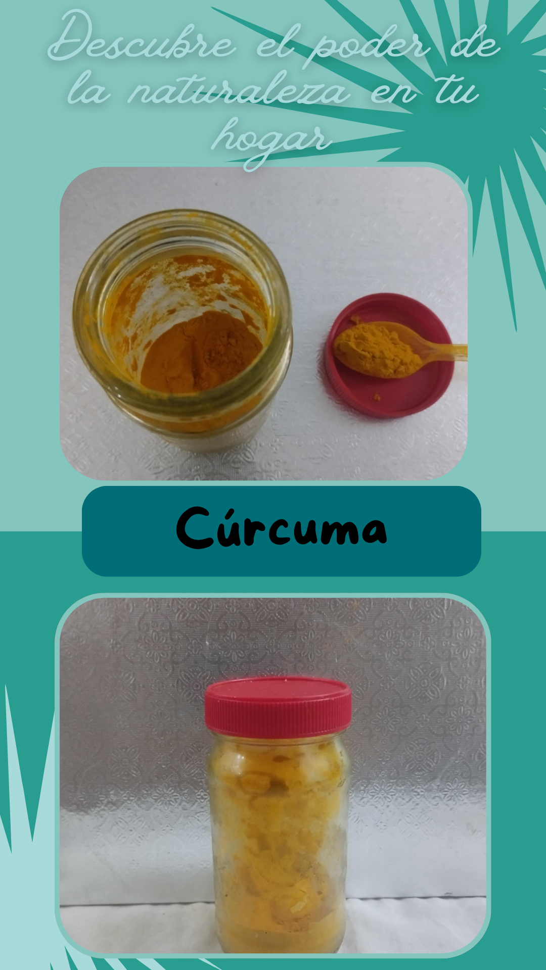 [ESP-ENG] Descubre el poder de la naturaleza en tu hogar "Cúrcuma" // Discover the power of nature in your home “Turmeric”