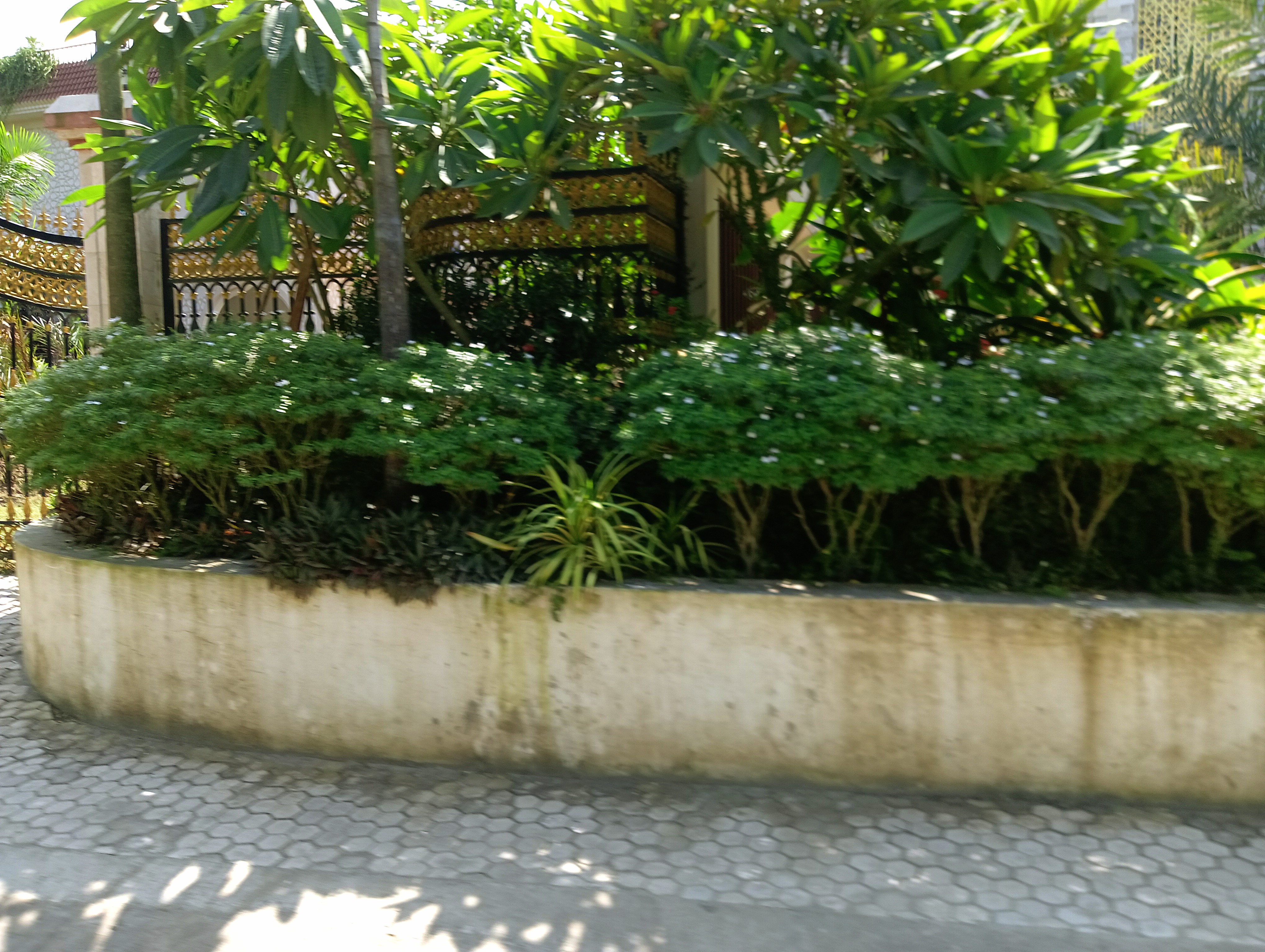 IMG20250822135638.jpg