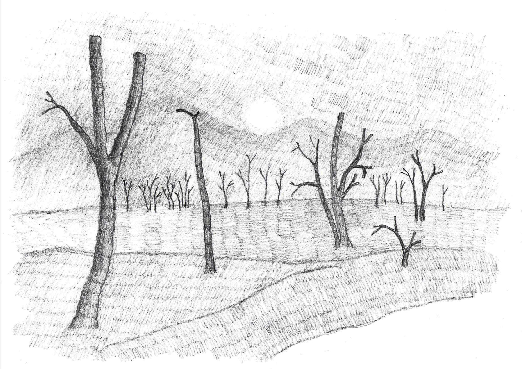 acreage drawing