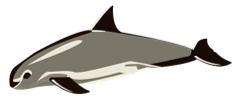 vaquita.png