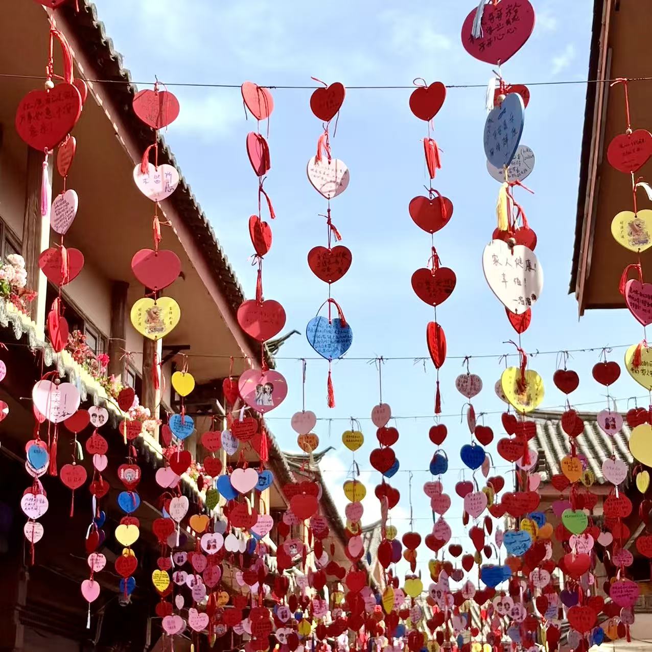89.jpg