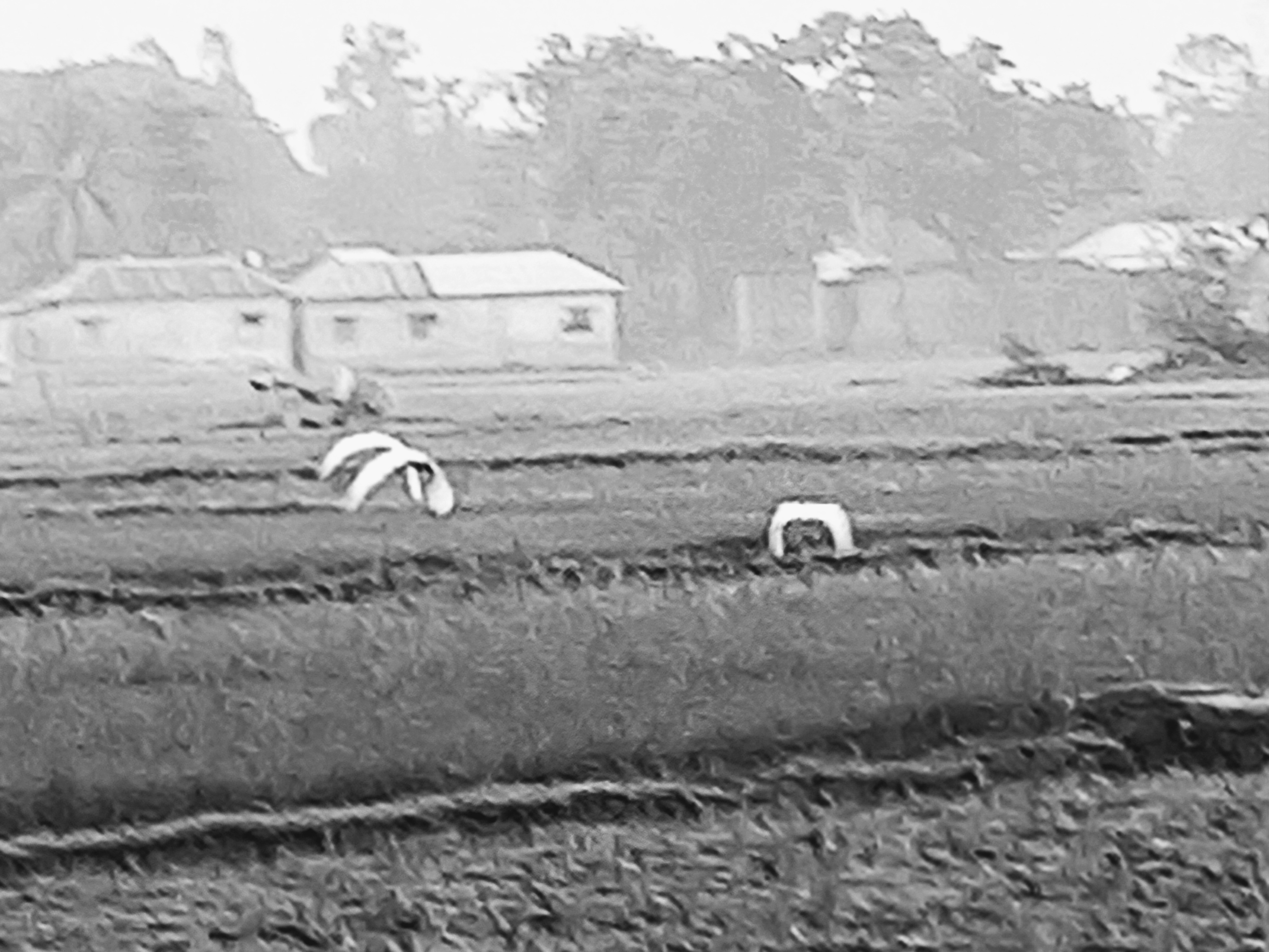 20250713_055937~4.jpg