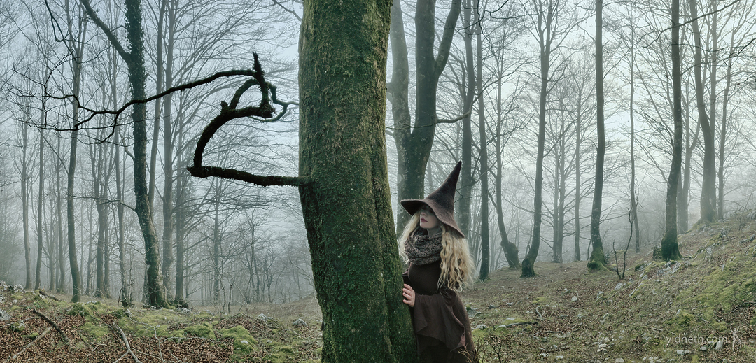 cropppedmisty forest witch hat - by priscilla Hernandez (yidneth.com) - Priscilla Hernandez.jpg