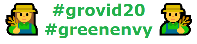 grovid20greenenvy.png