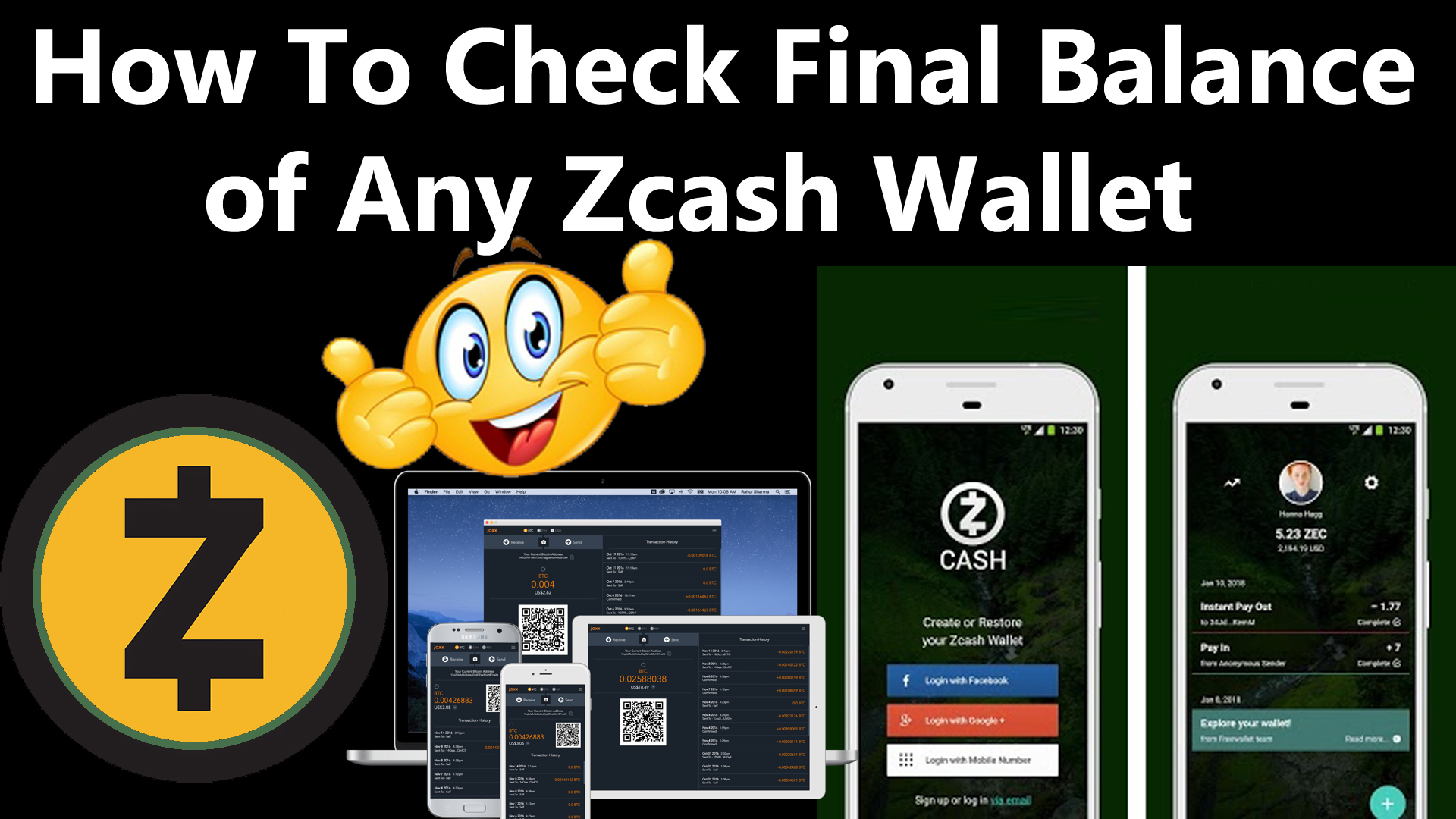 How To Check Final Balance Of Zcash wallet by crypto wallets info.jpg