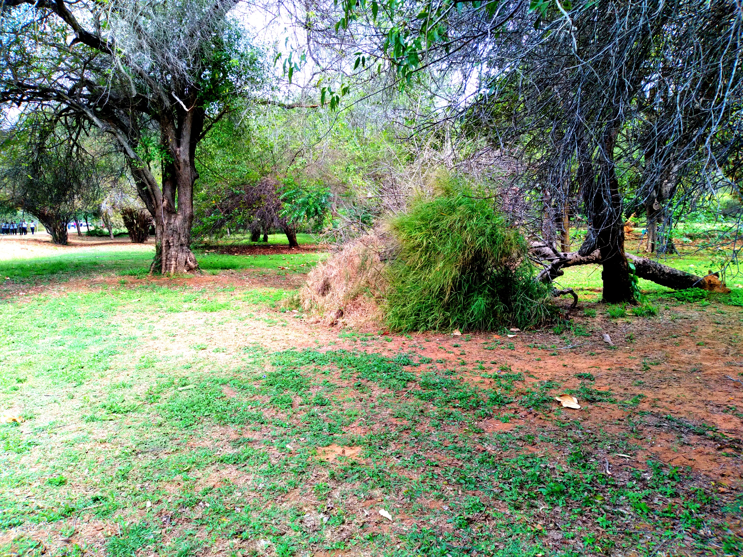 20250321_103916.jpg