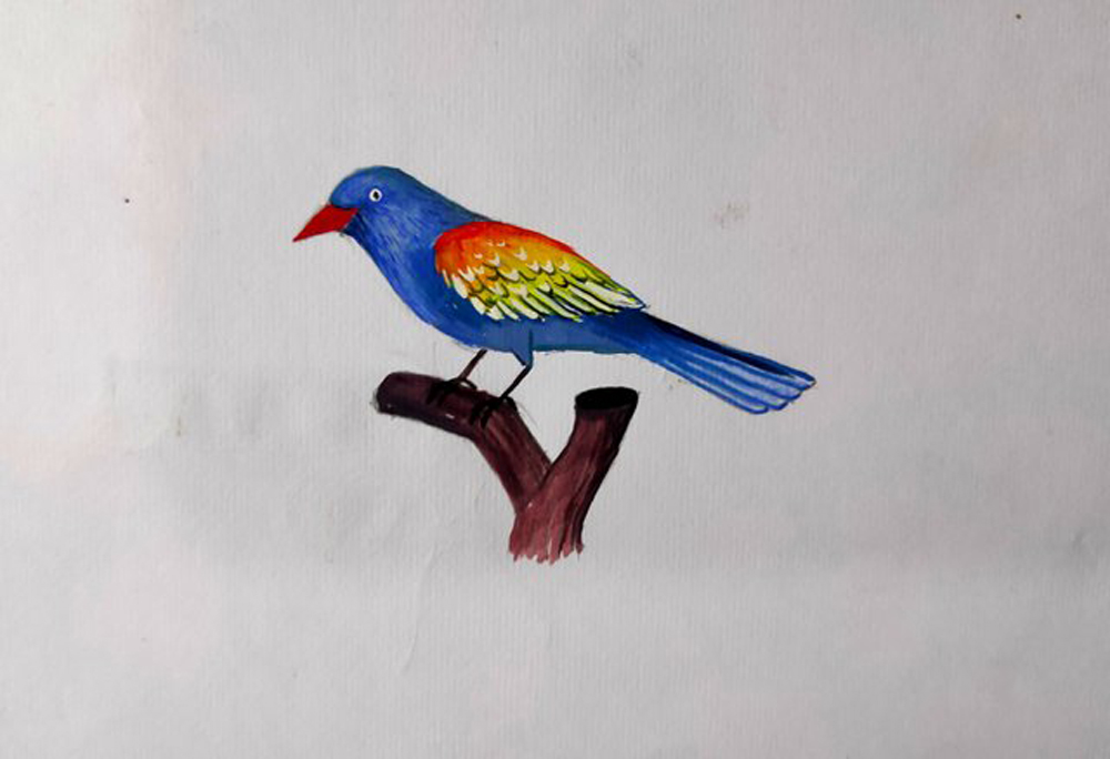 40 Beautiful Bird Drawings and Art works for your inspiration | Bird  drawings, Cartoon birds, Cross paintings