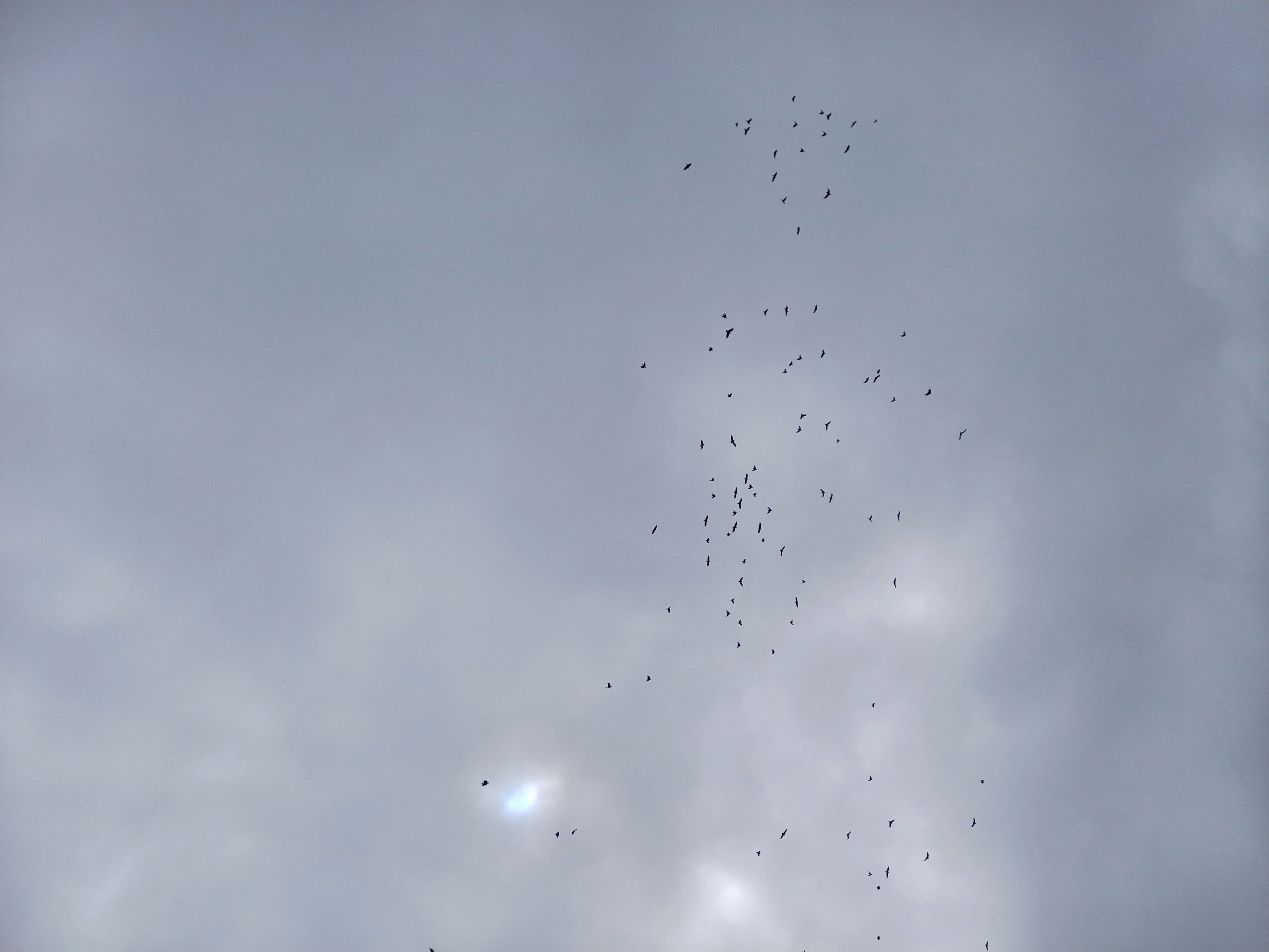 20250709_133640.jpg