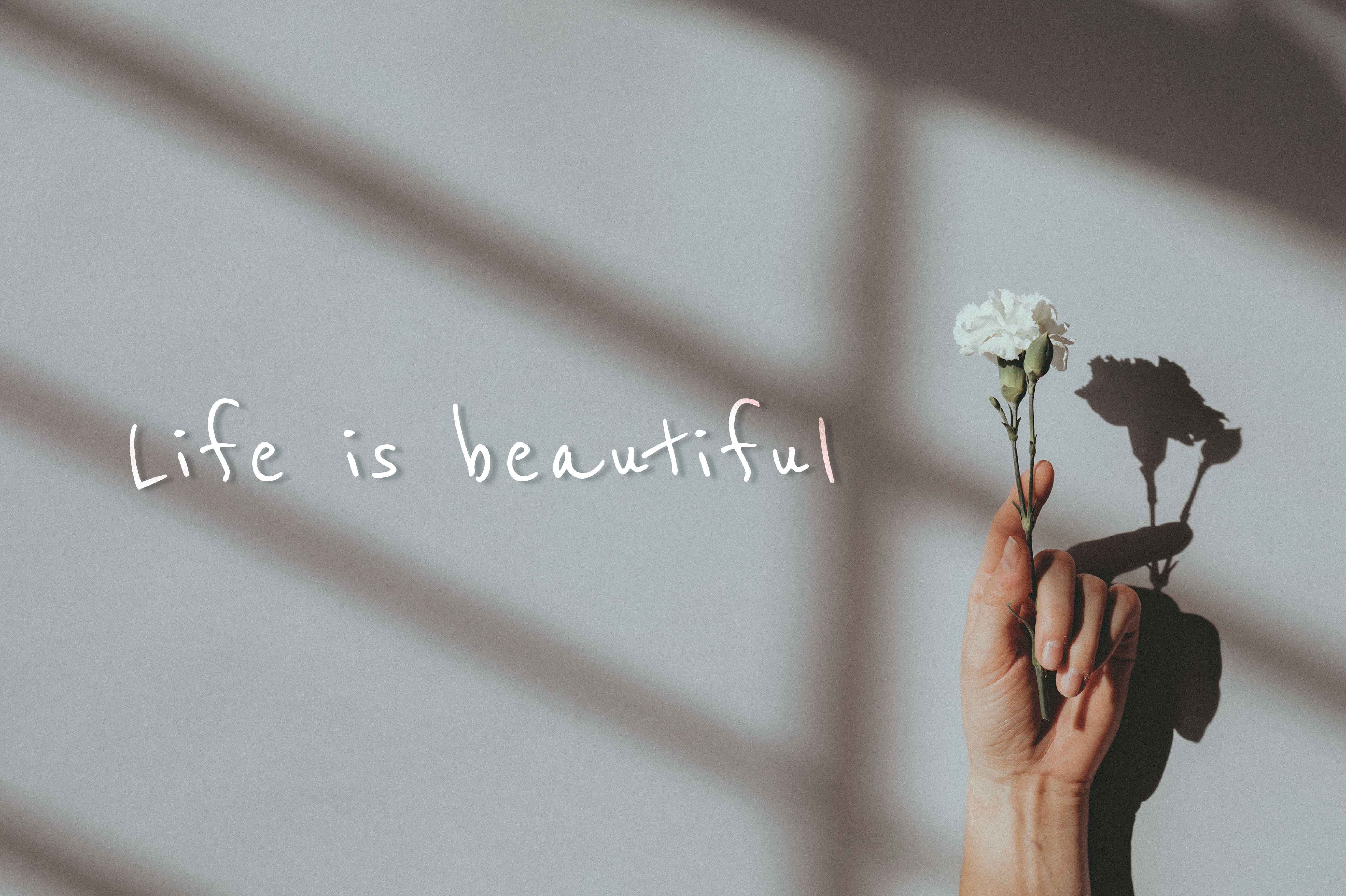 life-is-beautiful-quote.jpg
