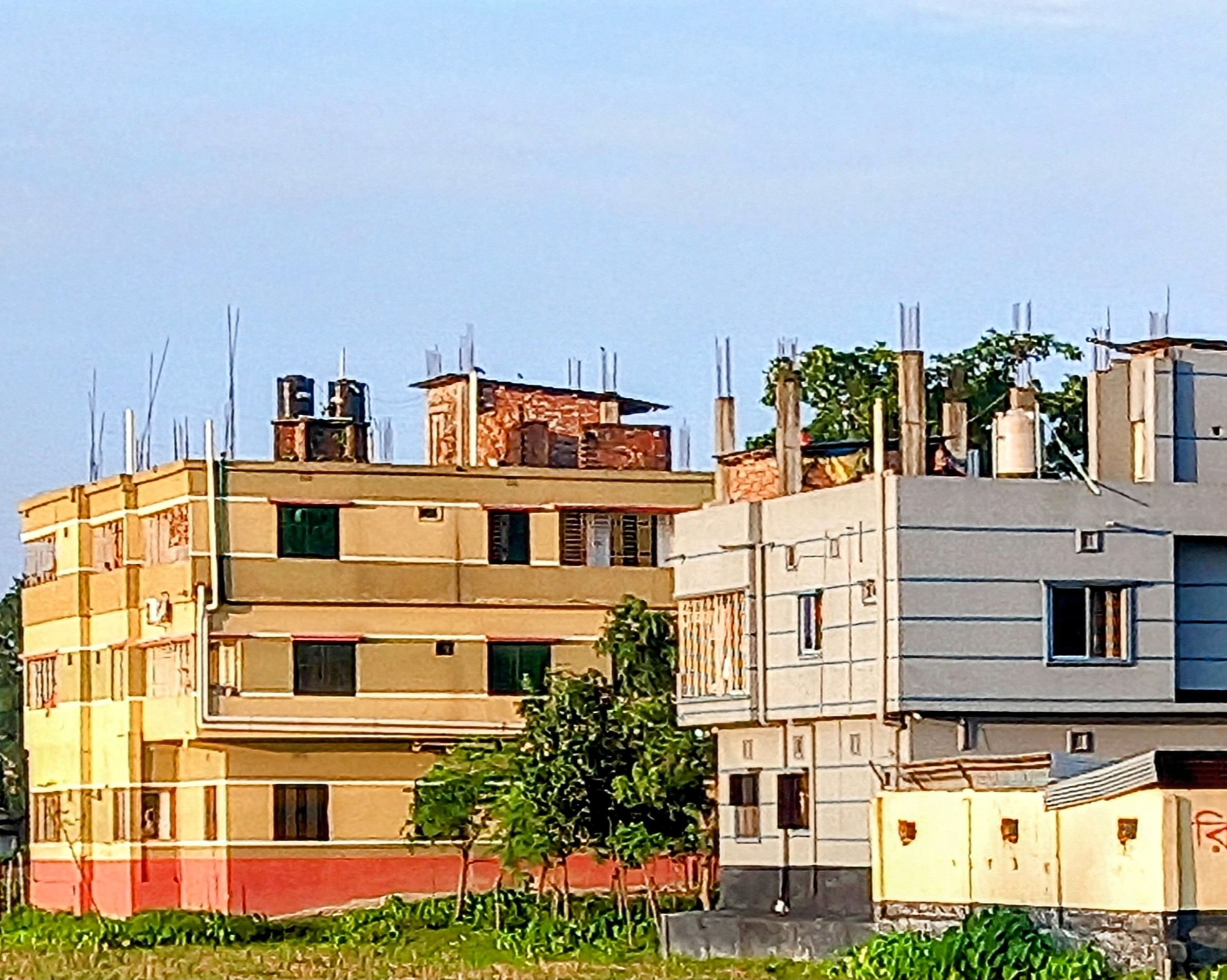 20250627_055749~3.jpg