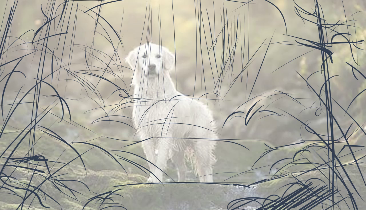 vlcsnap-2025-05-25-18h50m31s714.png
