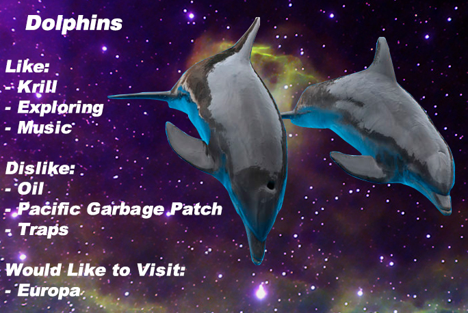 dolphins.jpg