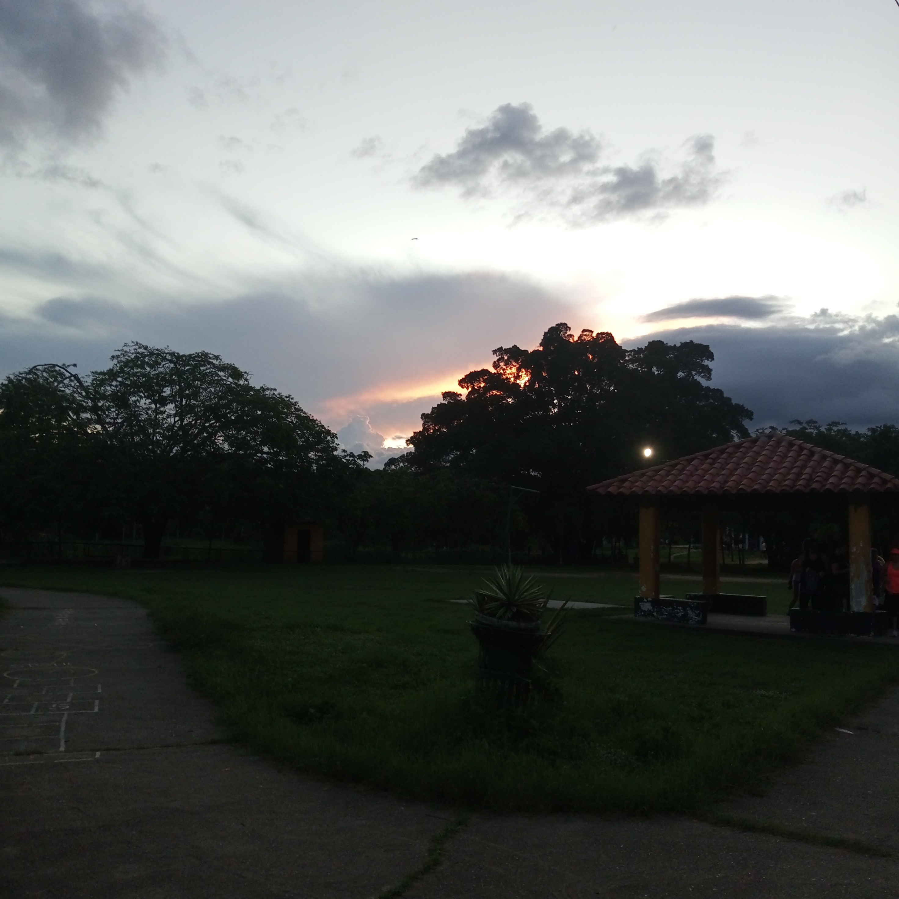 IMG_20240617_185604_749.jpg