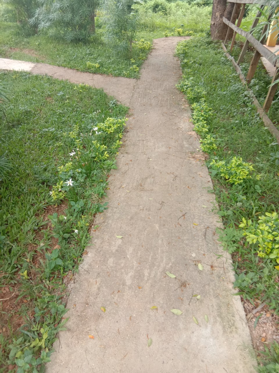 Path.jpg