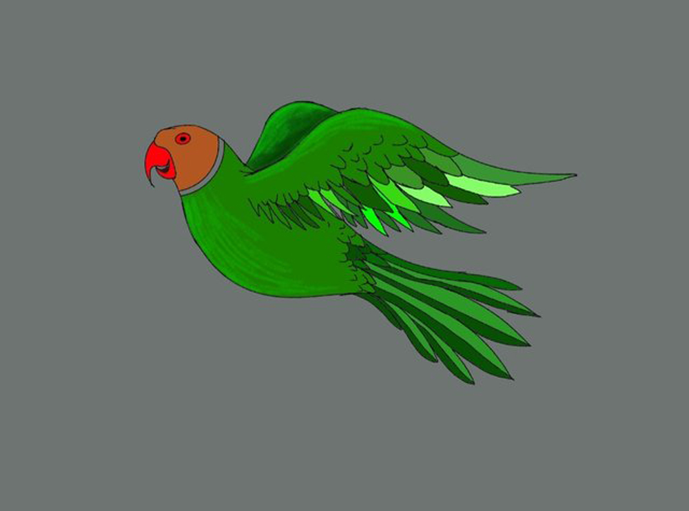 Watercolor parakeet parrot bird illustration | Watercolor parakeet, Parrots  art, Bird illustration