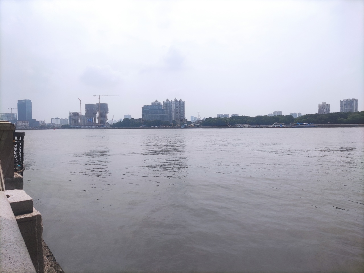 IMG_20221005_112556.jpg