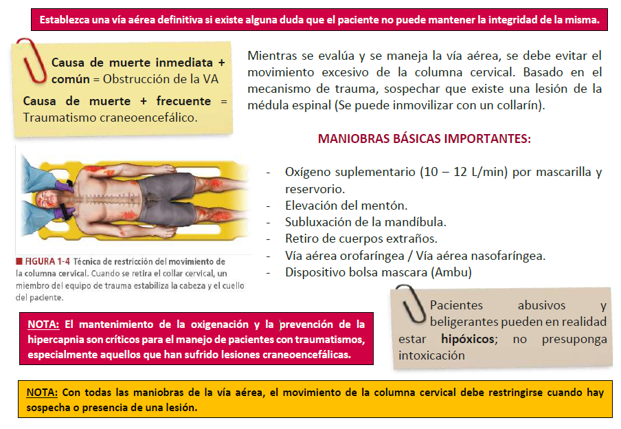 Soporte Vital Avanzado En El Trauma Atls Fundamentos Del Abcde — Hive