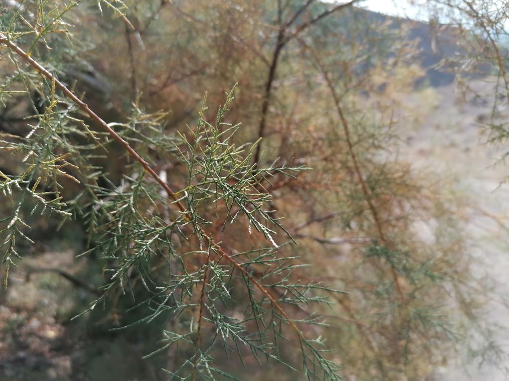 IMG_20231020_130044.jpg