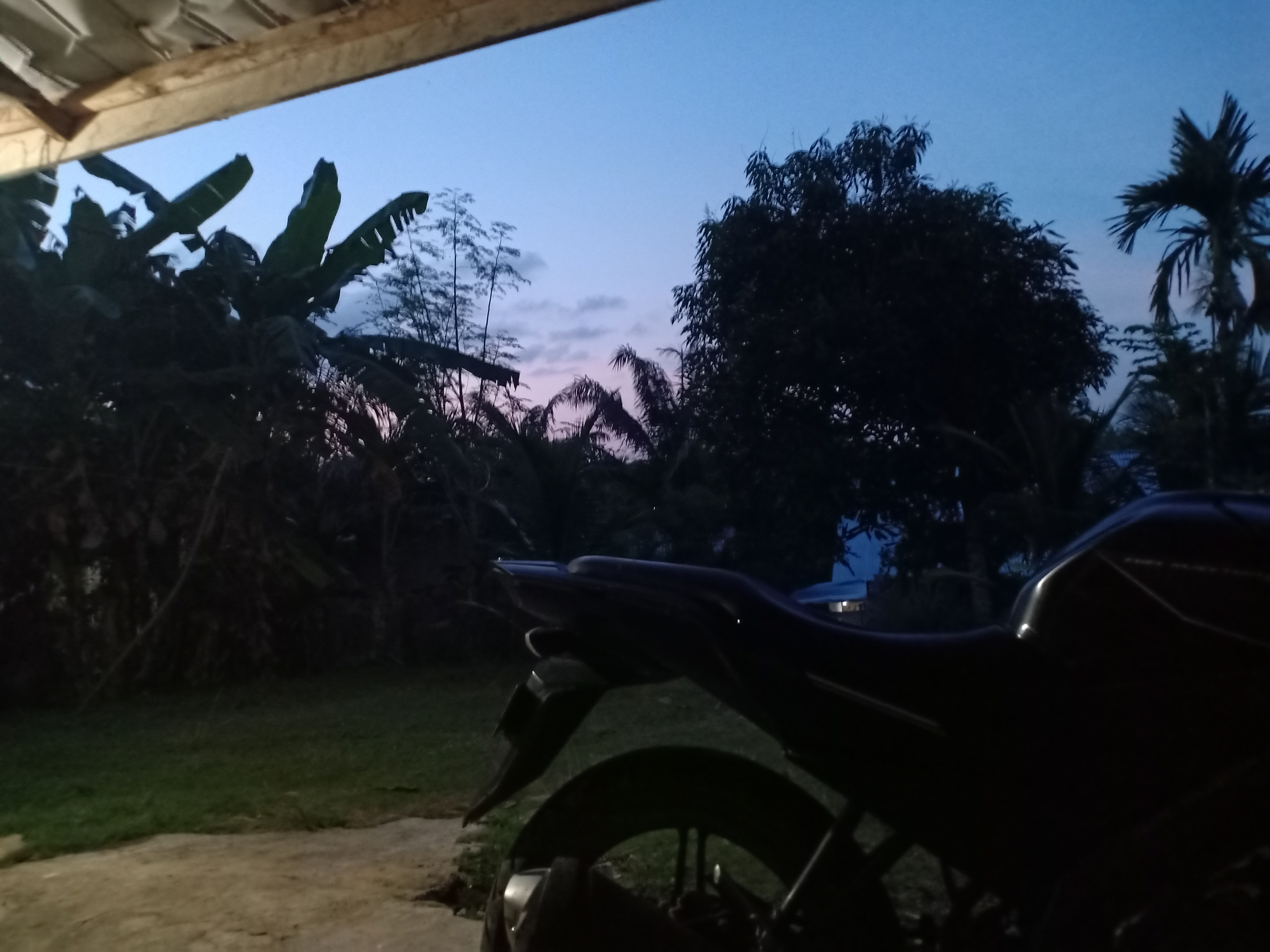 IMG20250301190115.jpg
