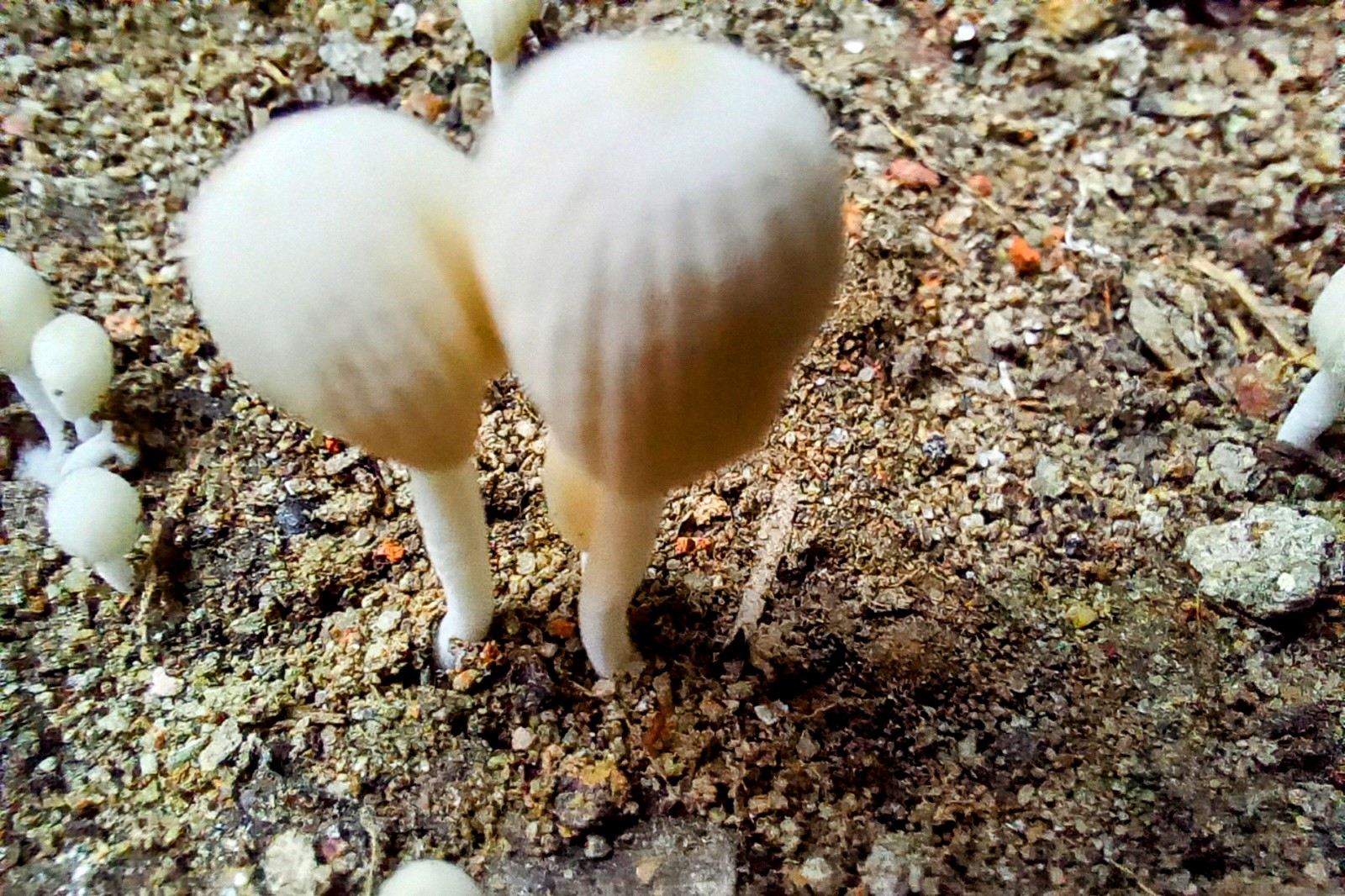 20250516_182122~2.jpg