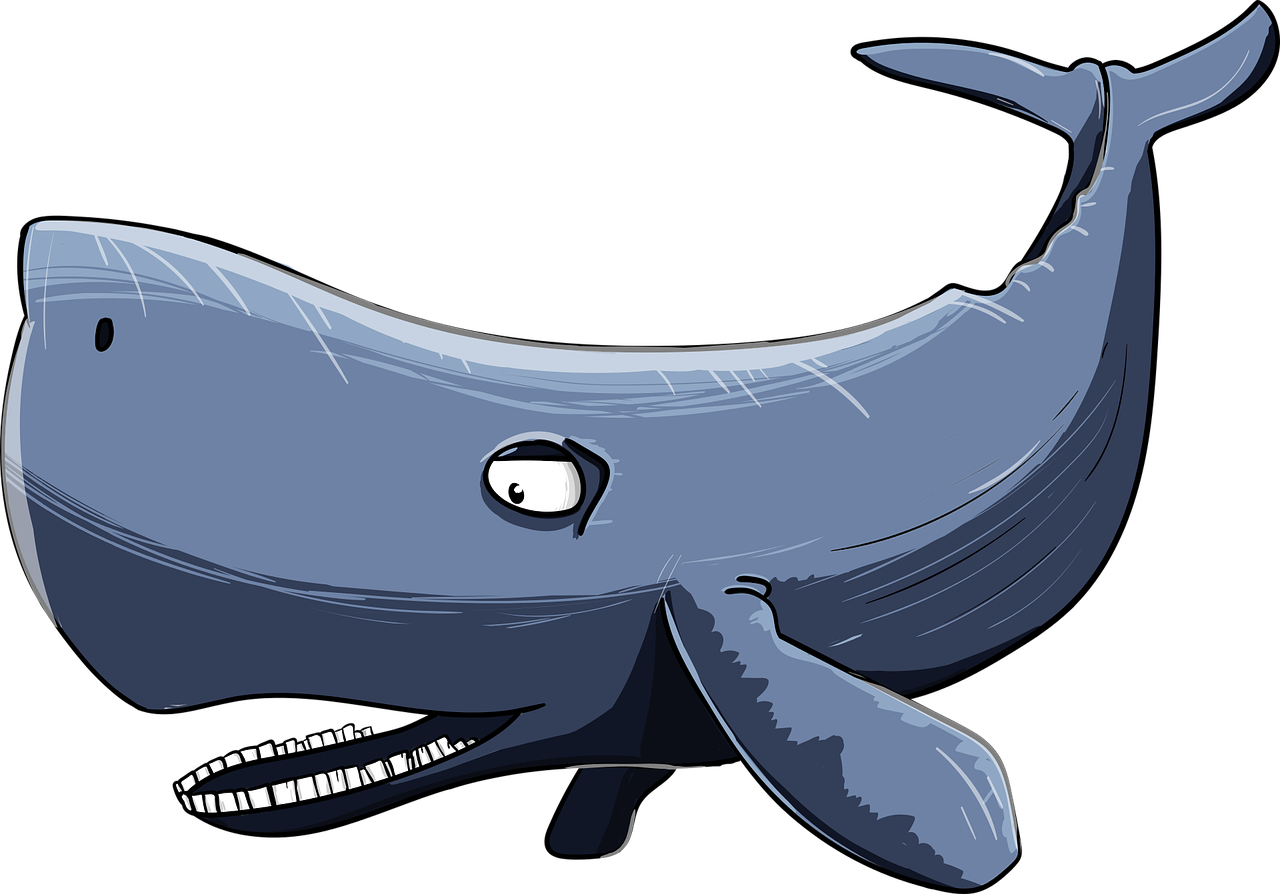 sperm-whale-3170560_1280.jpeg