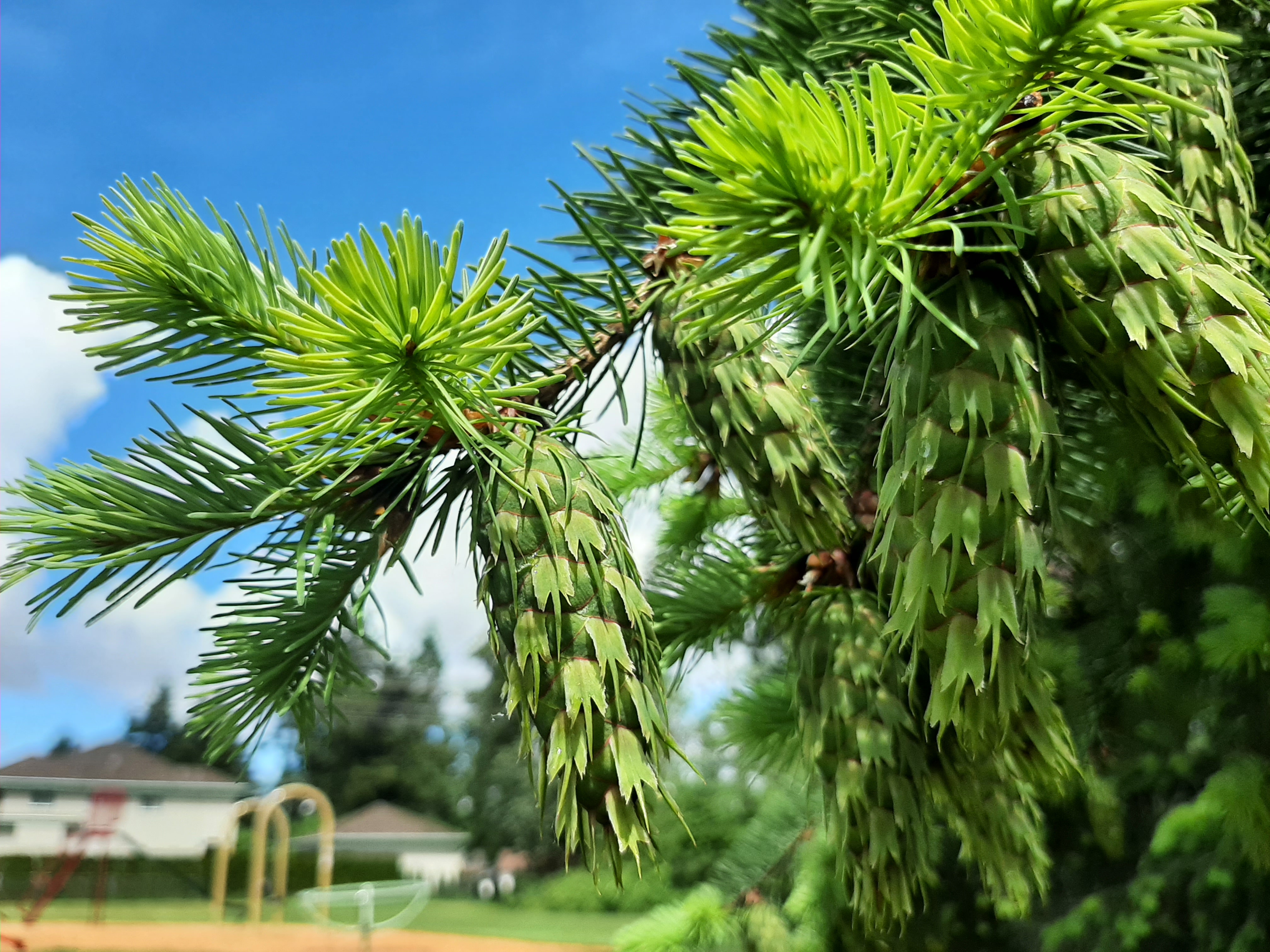 20220610_111554.jpg