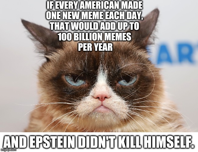 epstein_grumpycat_memes_per_year (1).jpg